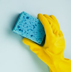 clean